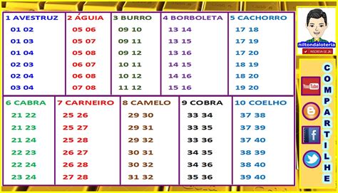 como saber quanto ganhei no jogo do bicho - premiação do jogo bicho